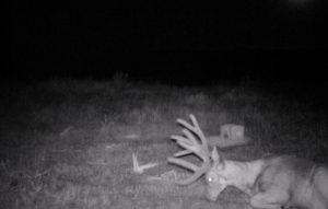 Great Deer Hunting in Eustis Nebraska